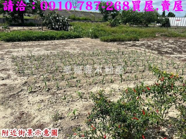 鹽水建地-7