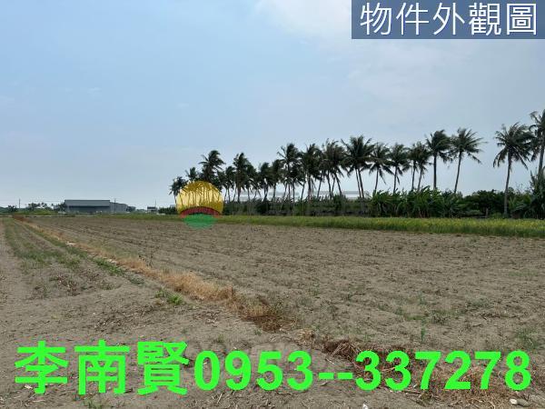 安定農地-5