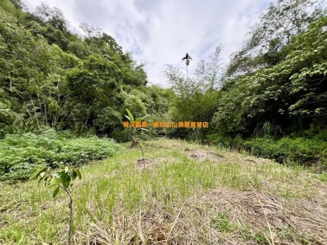 南投農地-1