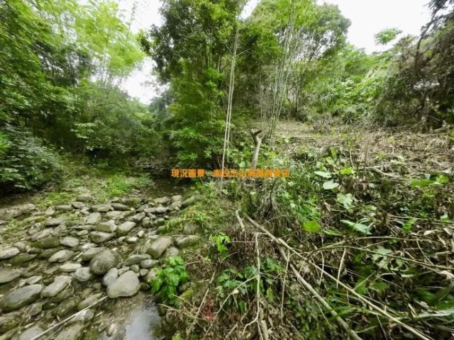 南投農地-9