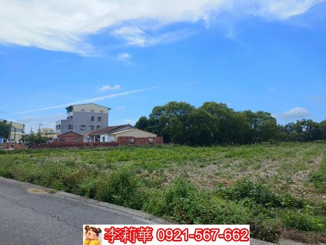 台南鹽水農地-12