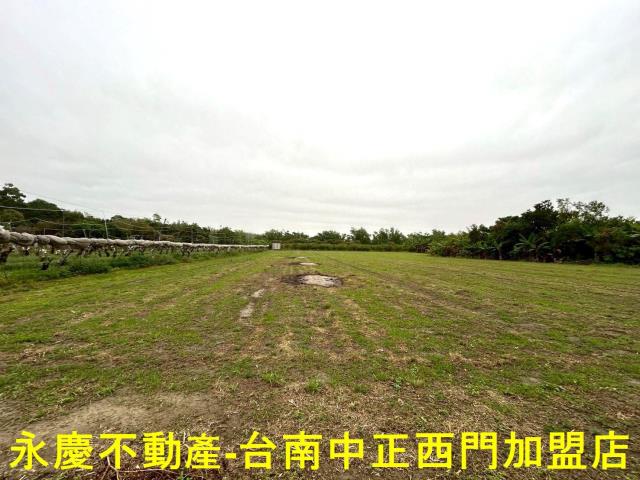 左鎮農地-11
