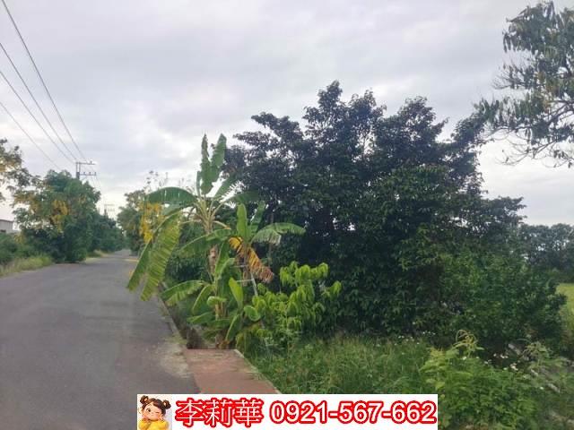 台南安定農地-3