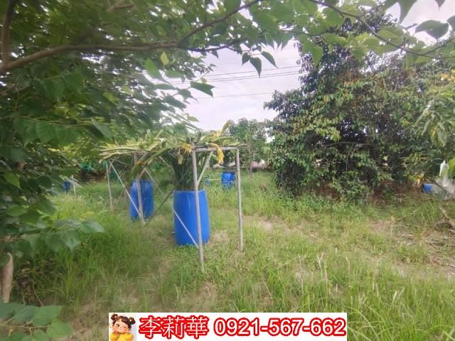 台南安定農地-5