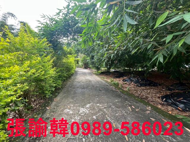南投草屯山坡地-6