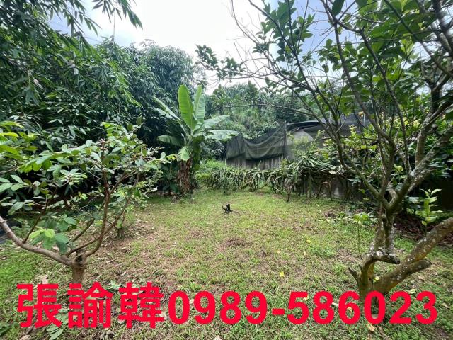 南投草屯山坡地-14