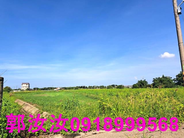 台南柳營農地-11