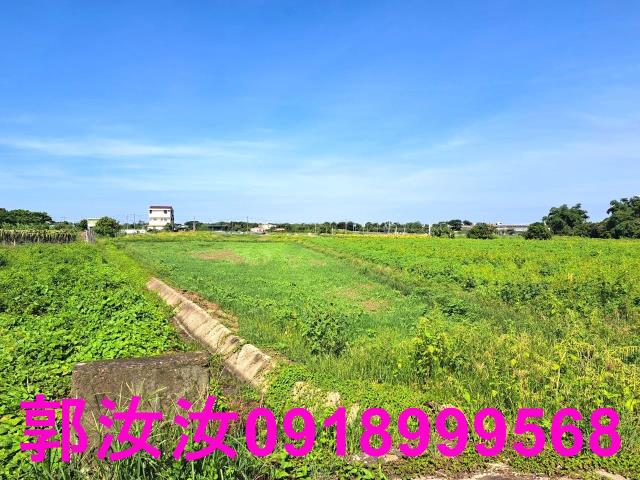 台南柳營農地-8