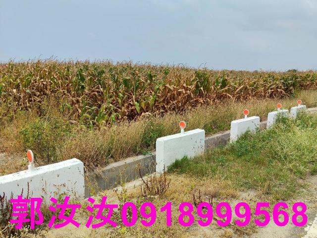佳里農地-6