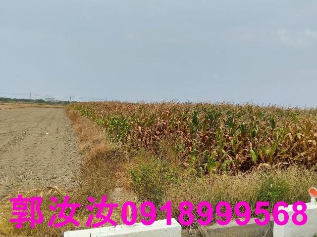 佳里農地-7