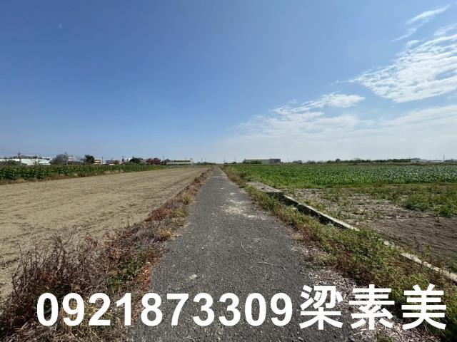 台南七股農地-1