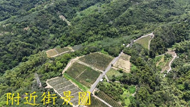 南投南投市農地-4