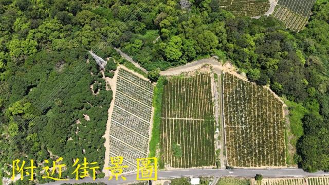 南投南投市農地-5