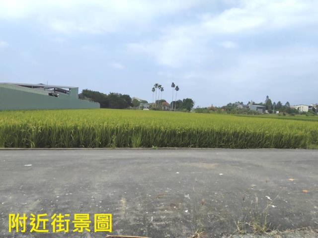 南投草屯農地-3