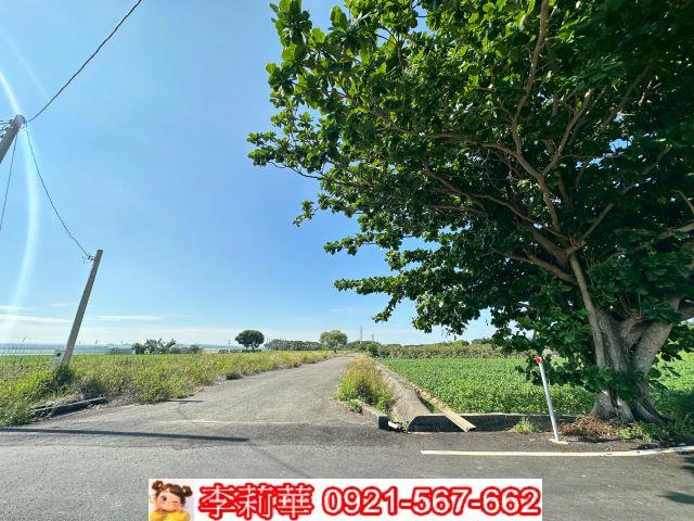 台南將軍農地-3