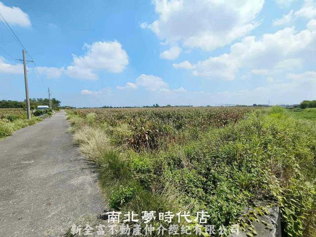 七股農地-6