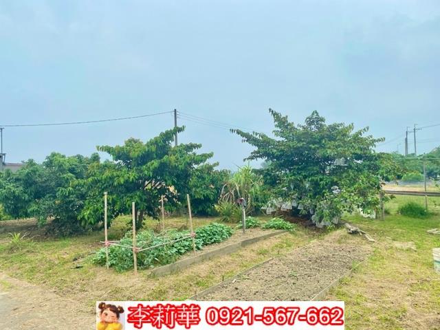 台南安南農地-3