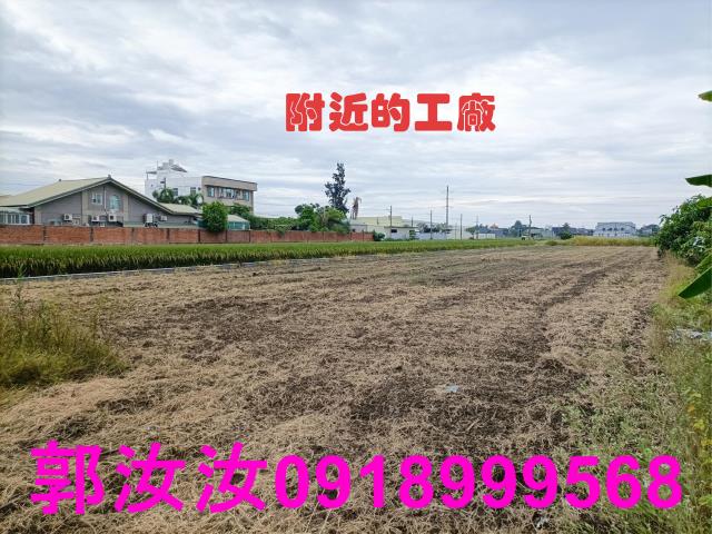 歸仁農地-2
