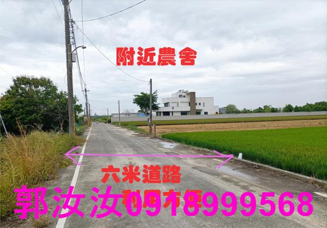 歸仁農地-5
