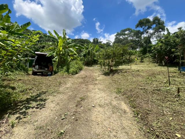 台中霧峰農地-8