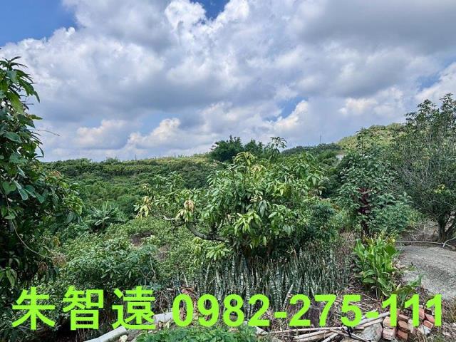 玉井建地-5