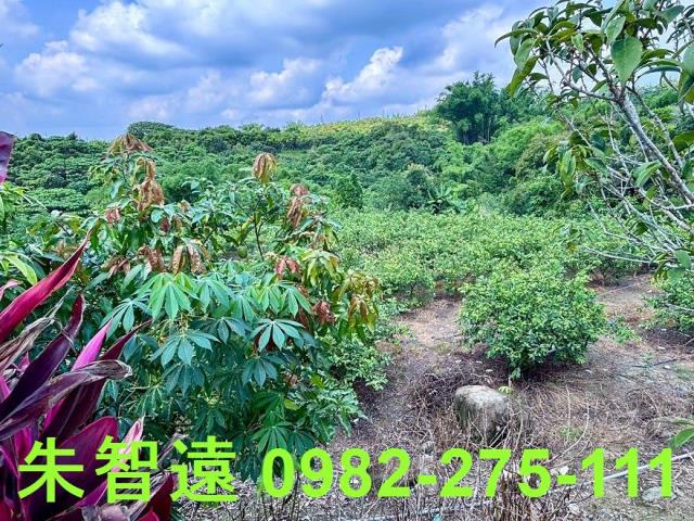 玉井建地-7