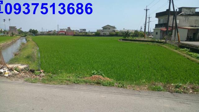 壯圍農地-4