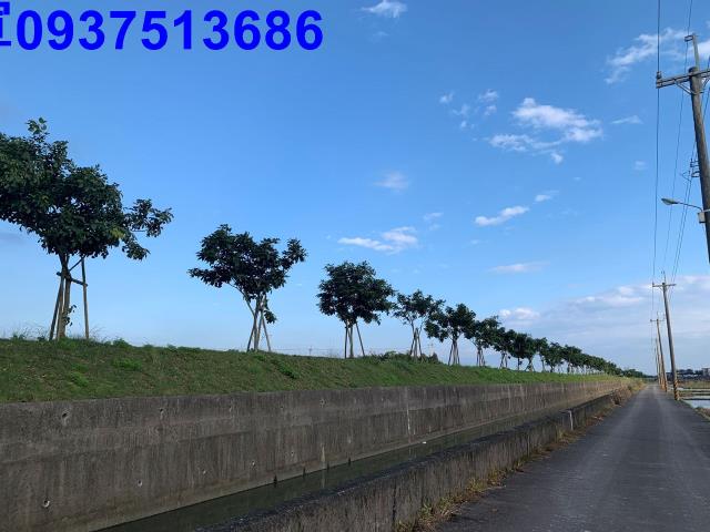 壯圍農地-10