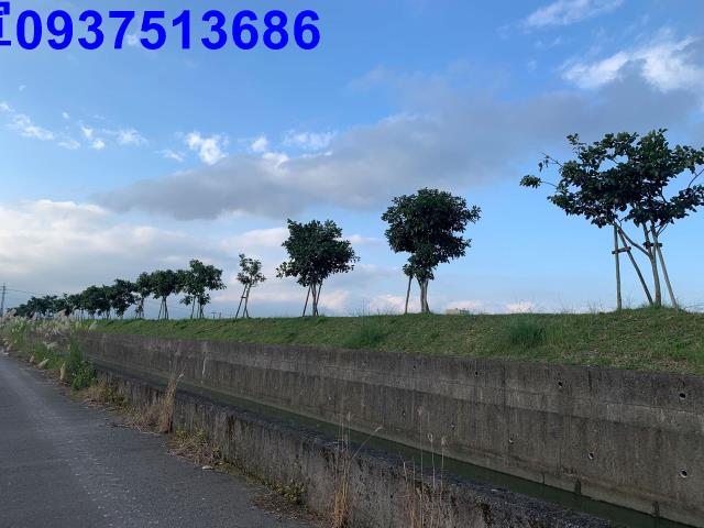壯圍農地-9