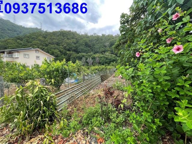 員山農地-6