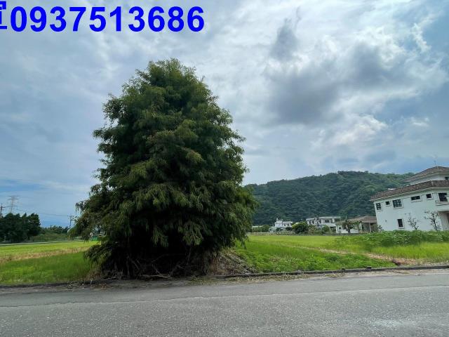 員山農地-3
