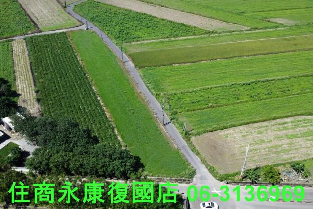 仁德農地-6