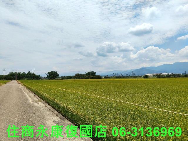 台南農地-3