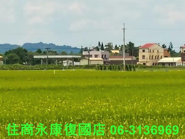 台南農地-6