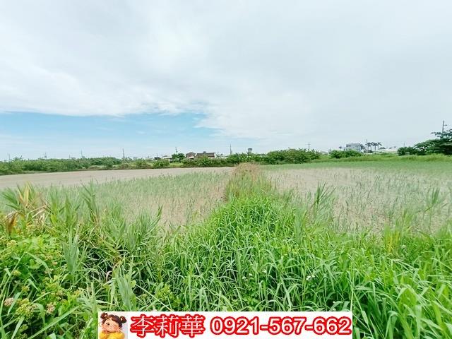 台南農地-10
