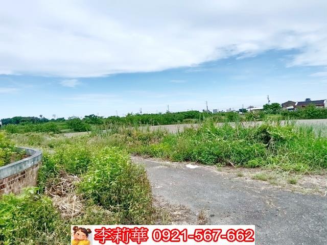 台南農地-7