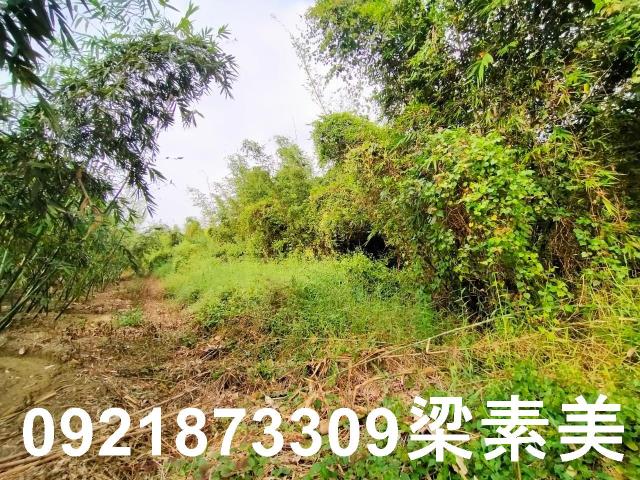 台南關廟農地-3
