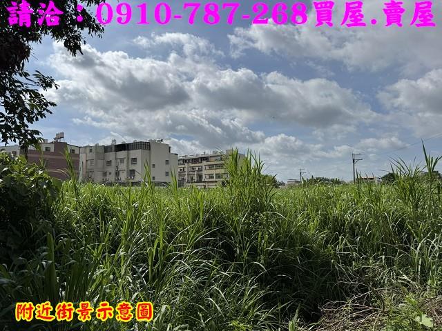 新化農地-12