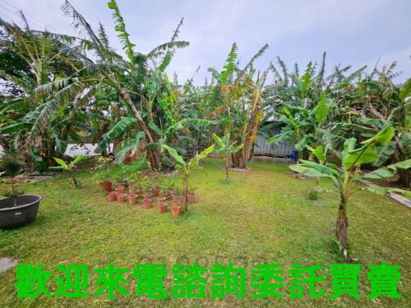 三芝都市計畫土地-4