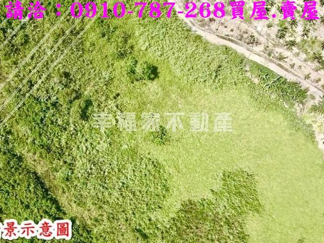 左鎮農地-10