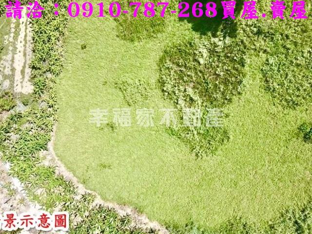 左鎮農地-11