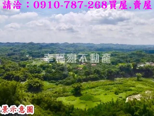 左鎮農地-4