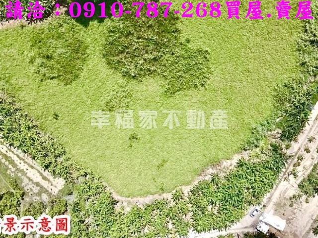左鎮農地-5