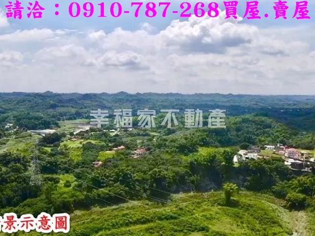 左鎮農地-9