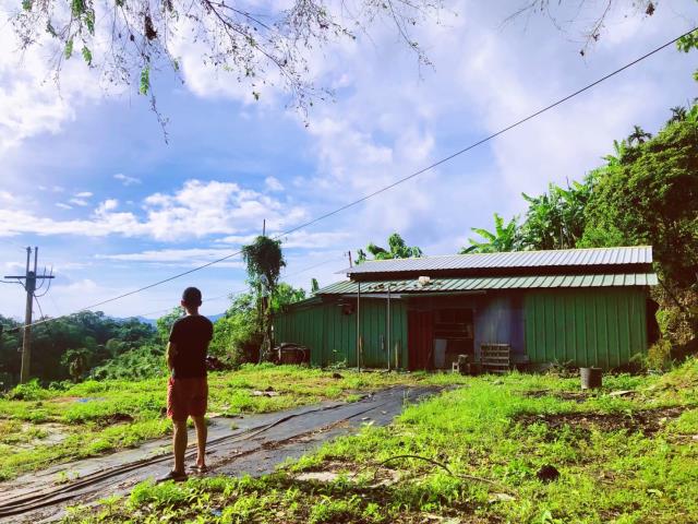 台中太平農地-1