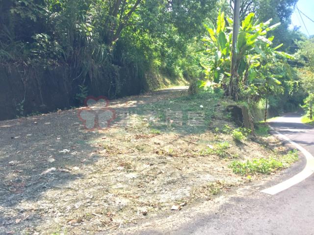 台中太平農地-6