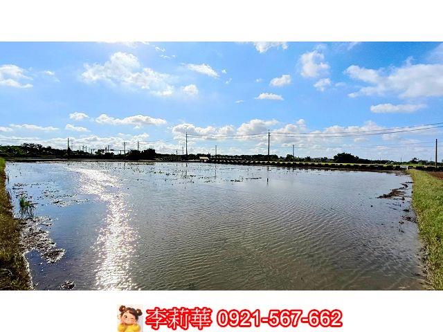 台南官田農地-10