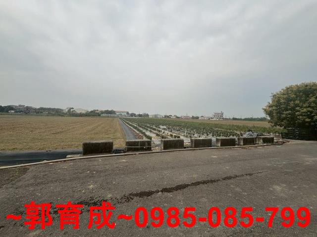 白河農地-5