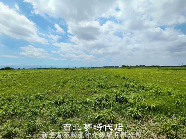 鹽水農地-3