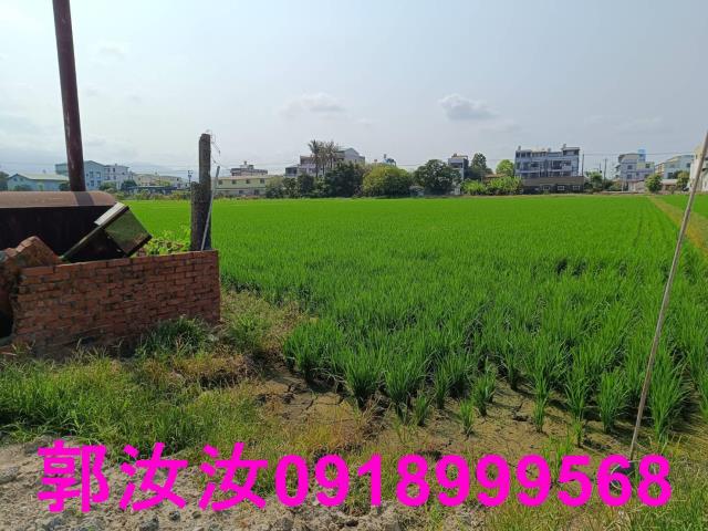 白河農地-8